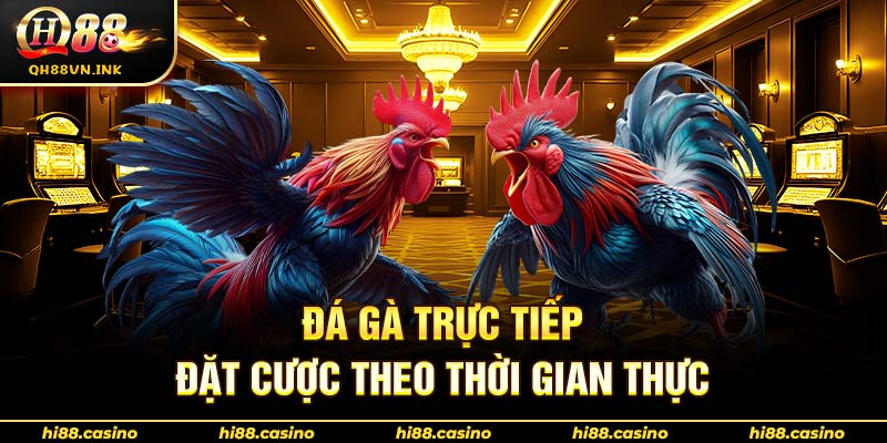 Đá gà trực tiếp, đặt cược theo thời gian thực