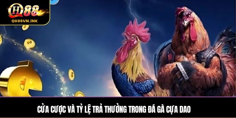 Bí quyết bất bại khi chơi đá gà cựa dao