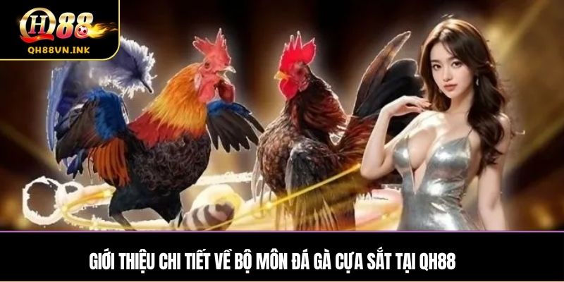 Giới thiệu chi tiết về bộ môn đá gà cựa sắt tại QH88